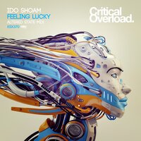 Feeling Lucky - Ido Shoam