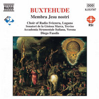 Membra Jesu nostri, BuxWV 75: IVc. Ad latus: Ecce tibi appropinquo - Roberto Balconi & Roberta Invernizzi & Mario Cecchetti & Daniele Carnovich & Caterina Trogu & Дитрих Букстехуде