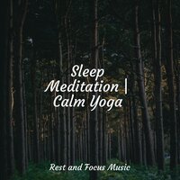 Start of Eternity - Relaxing Spa Music & Sleep Waves & Egyptian Meditation Temple