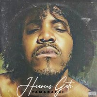 Heavens Gate - Tamaraebi