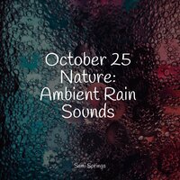 Gentle Lapping Waves - Sounds of Rain & Thunder Storms & Hipnose Natureza Sons Coleção & Pro Sound Effects Library