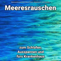 New Age Geräusche zum Lernen - Meeresrauschen & Naturgeräusche & Meeresrauschen zum Schlafen Manuel Thomerz