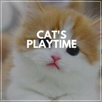 Play Your Cats' Fave Music - Music For Cats Peace