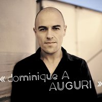 Les Terres Brunes - Dominique A