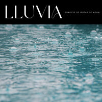 Estado Húmedo - Cascada de Lluvia & Ambiente de Tormenta & #Relajante