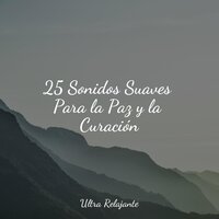 Zen Eterno - Musica para Dormir 101 & Musica Para Dormir y Sonidos de la Naturaleza & meditación Interna