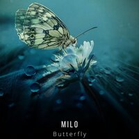 Butterfly - Milo