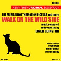 Somewhere in the Used to Be - Elmer Bernstein