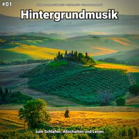 Hintergrundmusik pt. 8 - Entspannungsmusik Archiv & Schlafmusik & Entspannungsmusik