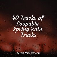 Rainforest Nature Ambience - Rising Higher Meditation & White Noise Relaxation & Forest Soundscapes