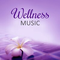 Life in Balance - SPA & Wellness Massage Masters