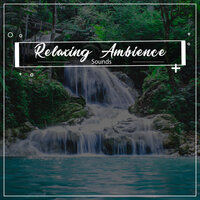 Theta Relaxation - Entspannende SPA Musik Zone, Meditieren Akademie, & Entspannende SPA Musik Zone & Meditieren Akademie