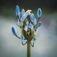 Estanque De Terciopelo - Canciones de Cuna Relax & Ruido Blanco Para Bebes & Relaxamento Sons da Natureza Ruído Branco Musicas Clube