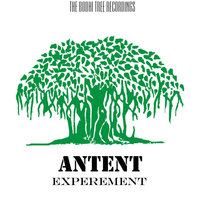 Experement - Antent