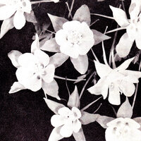 Lately - Jabu & Sunun