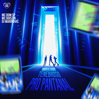 Minigame Tenebroso pro Pantanal - Mc dom sp & Mc DoisZin & Dj Marinovic & Love Funk
