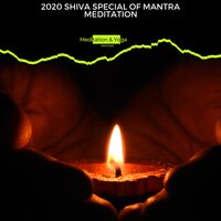 Ruminate Your Life - Relaxing Spa Sessions