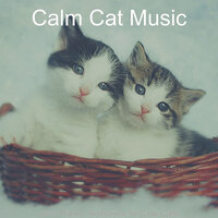 Glorious Solo Piano Jazz - Vibe for Cats - Calm Cat Music