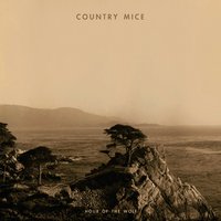 The Wicked - Country Mice