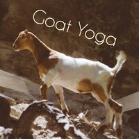 Purification (Yoga Therapy) - Mindfulness Mind Body Space