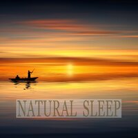 Steady Flow - River Sounds