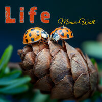 Loving Spender - Momo-Watt