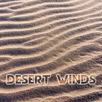 Desert Wind White Noise - Desert Wind Soundscapes & Wind Sounds 3D & Nature Sounds FX & White Noise Sound 3D & White Noise Sound FX & Wind Atmosphere Sounds