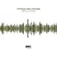 Riverside - Promenade