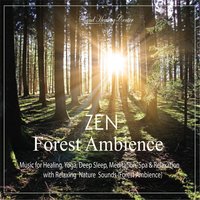 Zen Forest Ambience: Music for Healing, Yoga, Deep Sleep, Meditation, Spa & Relaxation (With Relaxing Nature Sounds) - Sound Healing Center