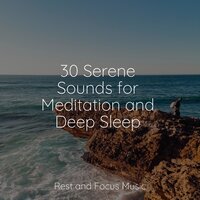 Always Mindful - White Noise Sound Garden & Lullabies for Deep Meditation & Soothing Chill Out For Insomnia