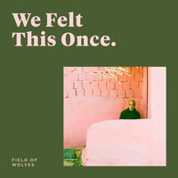 Manor House - Field Of Wolves