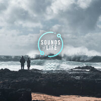 Extremely Windy Beach and Human Traffic, Pt. 60 - Sounds Of Life