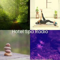Shakuhachi and Koto Soundtrack for Spa Packages - Hotel Spa Radio