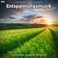 Spa Entspannungsmusik - Entspannungsmusik sanft & Schlafmusik & Entspannungsmusik