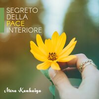 Aumento di energia interna - Mera Kanhaiya