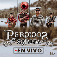 Los Hermanos Mata (En Vivo) - Perdidos De Sinaloa