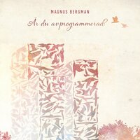 Är du avprogrammerad? - Magnus Bergman
