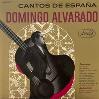 Que Le Vamos Hacer - Domingo Alvarado