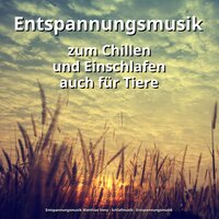Qigong - Entspannungsmusik & Schlafmusik & Entspannungsmusik Matthias Veny