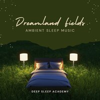 Sleepy Nights - Deep Sleep Academy