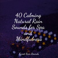 River, Close, Birds, Forest - Thunder Storm & Rainforest Sounds & Thunderstorms
