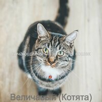 Впечатление (Кошки) - качающийся Музыка для кошек