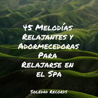 Sonidos Internos - Zona Música Relaxante & Musica Relajante Specialistas & Musica Relajante & Sons da Natureza Relax
