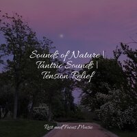 Waves - Música Zen Relaxante & Relaxation Music Guru & Native American Flute