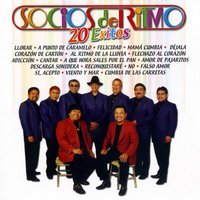Felicidad - Los Socios Del Ritmo