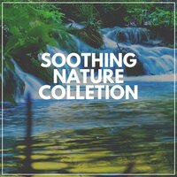 Gods Splendid Work of Art - Sound of Nature Library