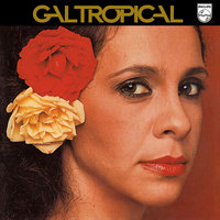 Índia - Gal Costa