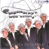 Mi Tinajita - Combinacion Norteña De S.L.P.