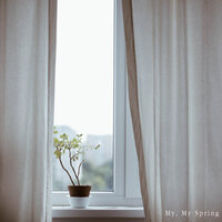 My, My Spring - Yobi