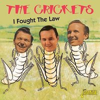 So You're in Love - The Crickets